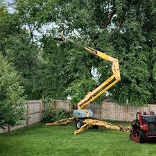 How Our Tree Care Process Works  in  Diamondhead, MS